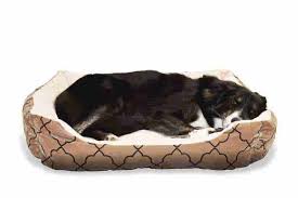 Dog Bed For Senior Pets