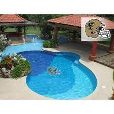 Applied Icon Nfl New Orleans Saints 29