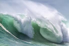 Large Rogue Waves