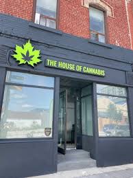 The House Of Cans Barrie Budhub Ca