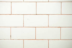Pink Mold In Bathroom Showers