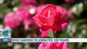 Rose Test Garden Celebrates 100th Birthday