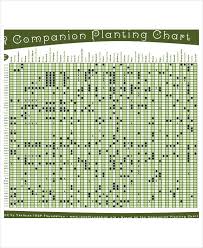 Companion Planting Chart 9 Free