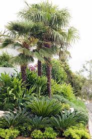 Tropical Gardens Secret Gardens