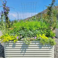 The Best Raised Garden Beds And How To