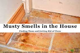 Musty Smells In The House Finding