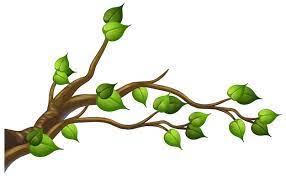 Tree Branch Clipart Images Free