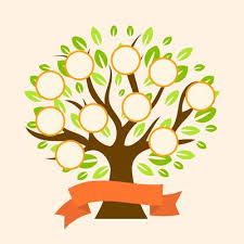 Family Tree Vector Art Icons And