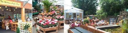 Customer Services Wellpark Garden Centre