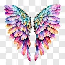 Vibrant Angel Wings For
