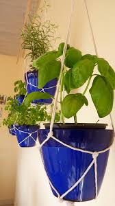 Indoor Hanging Herb Garden