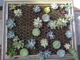 Framed Vertical Succulent Garden