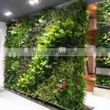 Artificial Plants Wall Buy Artificial
