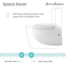 Dual Flush Elongated Toilet Bowl