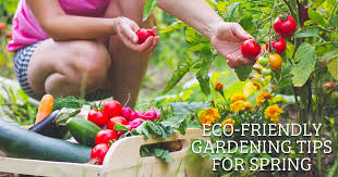 Eco Friendly Gardening Tips For Spring