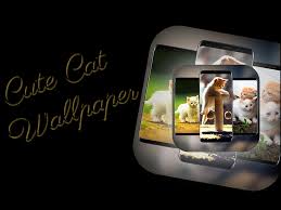 Cute Cat Wallpaper App Icon Search By