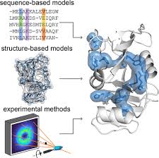 Correlated Motions In Structural