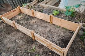 How To Start A Veggie Garden From