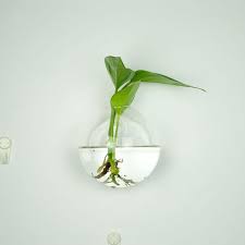 Clear Glass Planter Wall Hanging