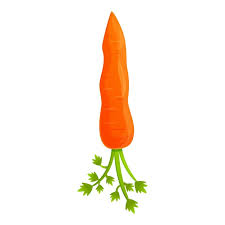 Garden Carrot Icon Cartoon Of Garden