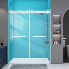 Frameless Shower Door