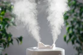 How To Choose The Best Humidifier For