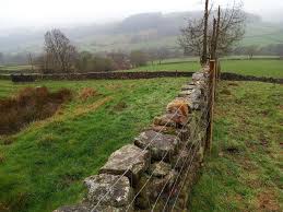 Hedgerows And Dry Stone Walls