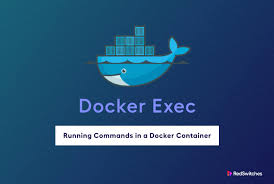how to use docker exec to run commands