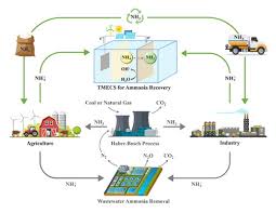 Ammonia Recovery From Wastewater