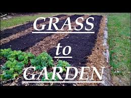 New Garden Auxhart Gardening