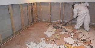 Basement Mold Removal Diy Or