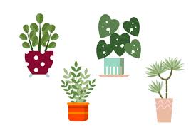 Plant Icon Pack Graphic By Sriwedariart