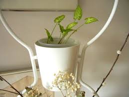 Vertical Garden Room Divider