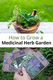 Growing A Medicinal Herb Garden