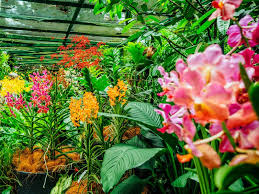 Largest Orchid Garden