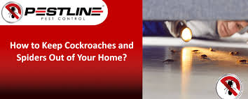 Cockroaches And Spiders In Winter