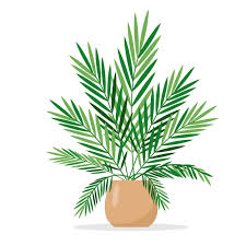 Tropical Palm Icon Decorative Indoor