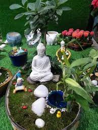 Buddha Miniature Garden At Rs 499 Piece