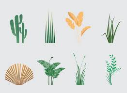 Page 2 Diffe Plants Vector Art