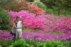 New York Botanical Garden Is One Of The