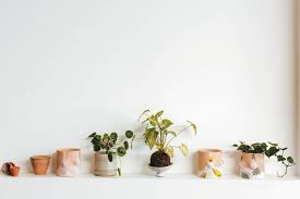 Perfect Pots For Your Houseplants