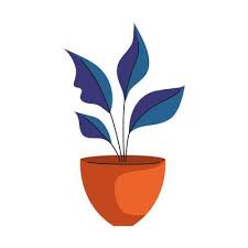 House Plant In Ceramic Pot In Orange