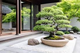 Bonsai Tree Growing In A Peaceful Zen