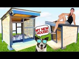 Diy Dog House Modern Dog House With