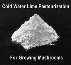 Buy Hydrated Lime Mushroom Cold Water