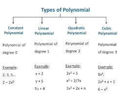 Polynomial Formula Definition Types