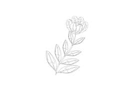 Spring Cute Flower Coloring Page