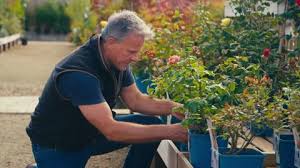 Man Working Outdoors In Garden