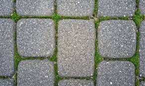 Kill Unsightly Paving Moss For 29p