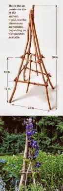 Build A Rustic Branch Twig Tuteur